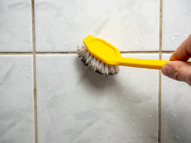 Best Certified Mold Removal  in Highland, KS
