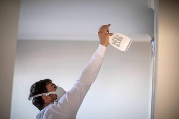 Best Mold Damage Repair  in Highland, KS