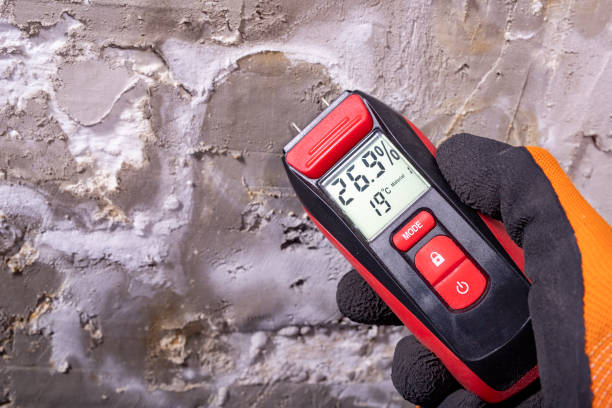 Best Crawl Space Mold Removal  in Highland, KS