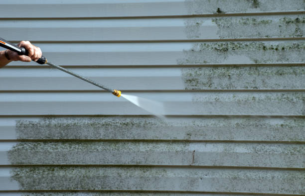 Best Black Mold Removal  in Highland, KS