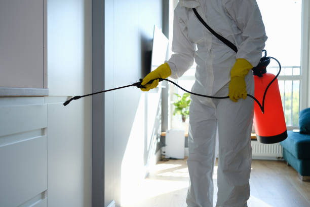 Best Water Damage Restoration  in Highland, KS