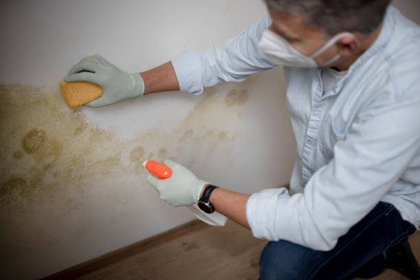 Crawl Space Mold Removal in Highland, KS