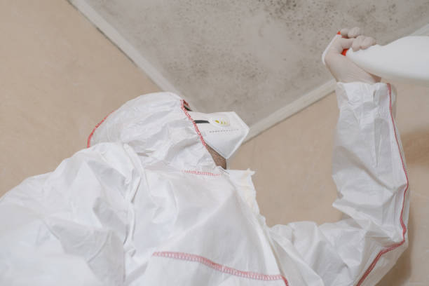 Best Local Mold Removal Service  in Highland, KS